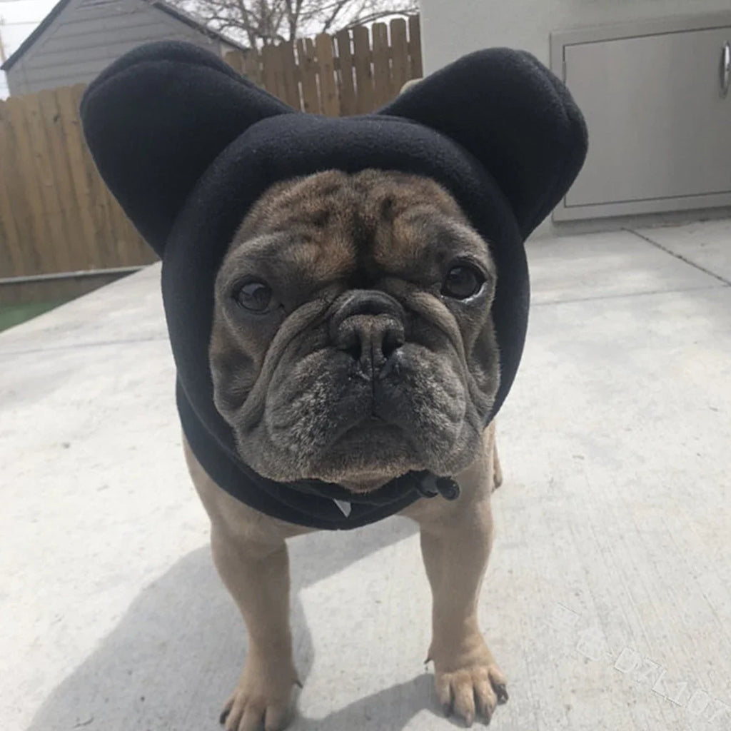 The Warm And Soft Hat For Dogs