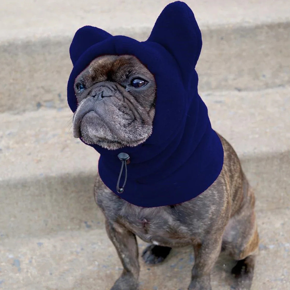 The Warm And Soft Hat For Dogs